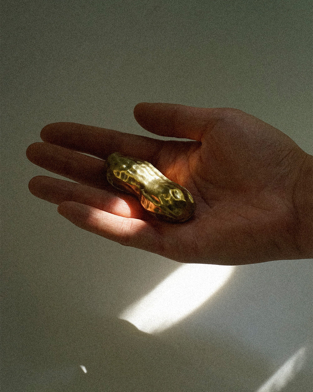Peanut-Shaped Aroma Box