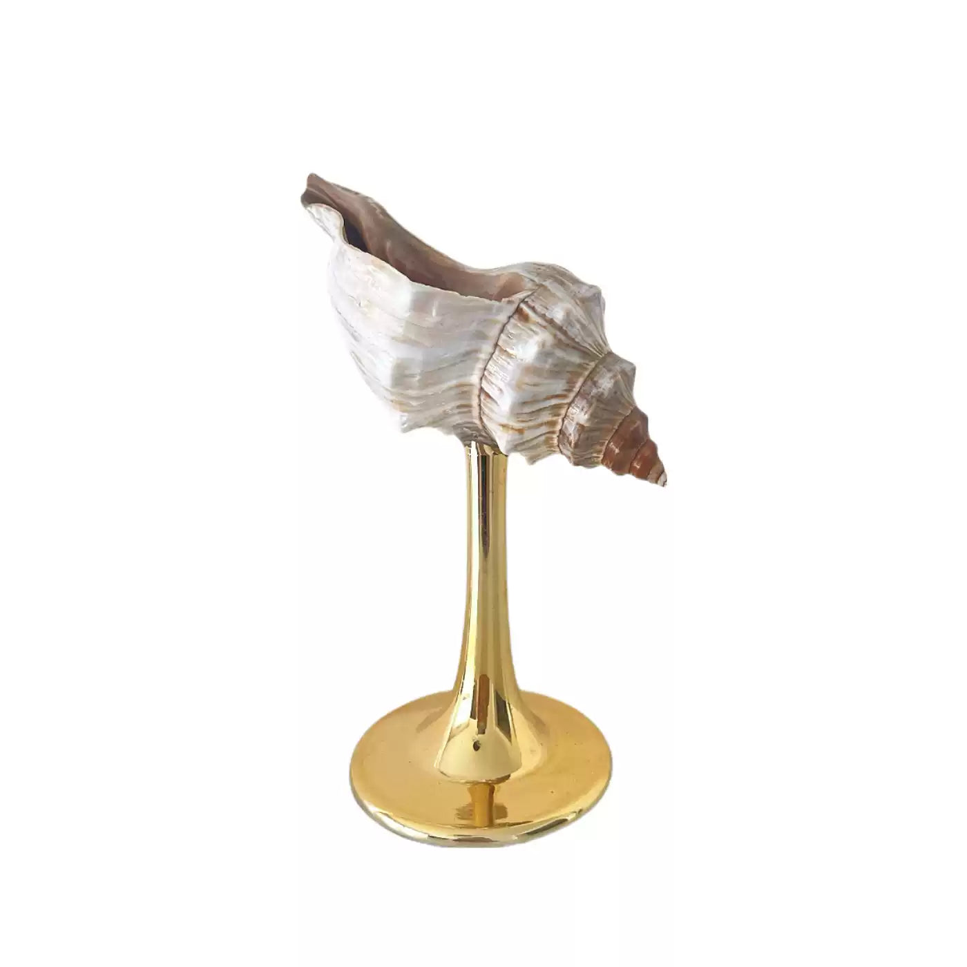 Natural Conch Wine Glass