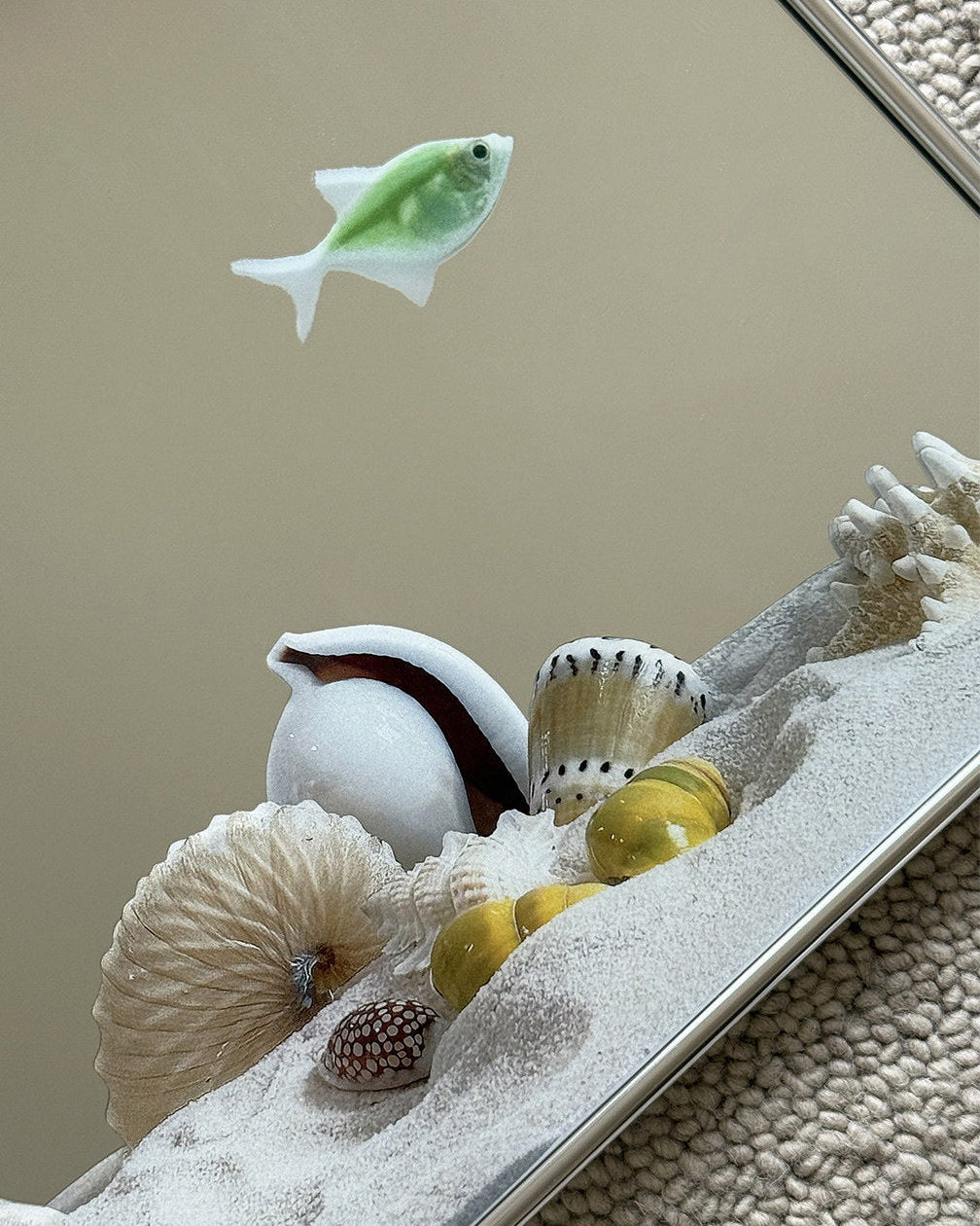 Ocean Fish Mirror Wall Art