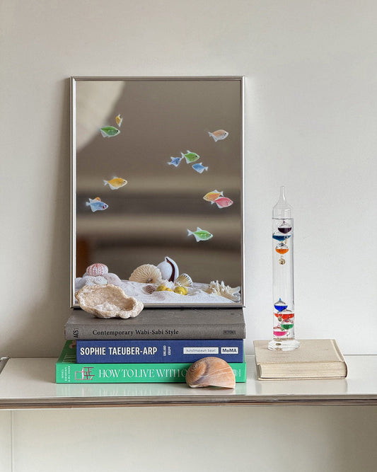 Ocean Fish Mirror Wall Art