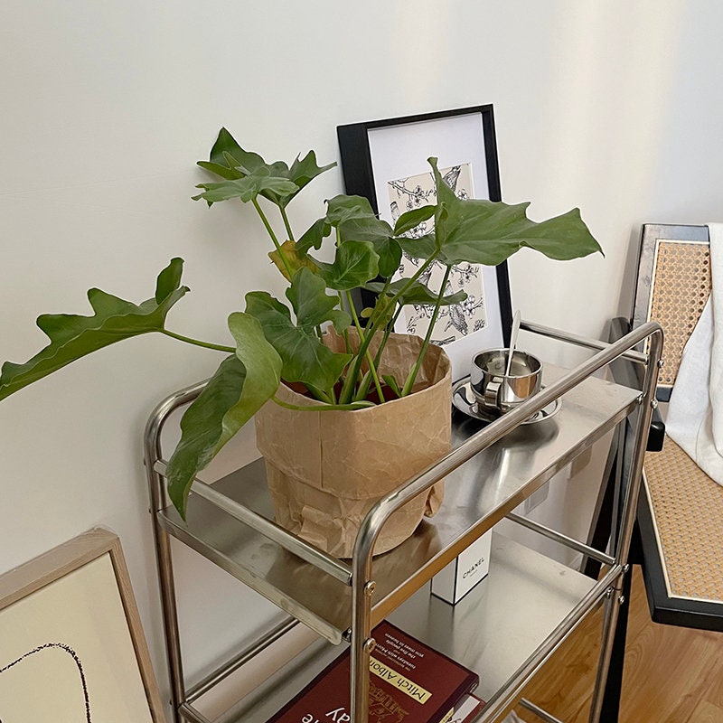 Stainless Steel Bar Cart with Wheels